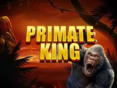 Poko Bet Casino screenshot